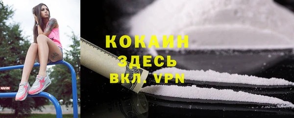 PSILOCYBIN Нязепетровск