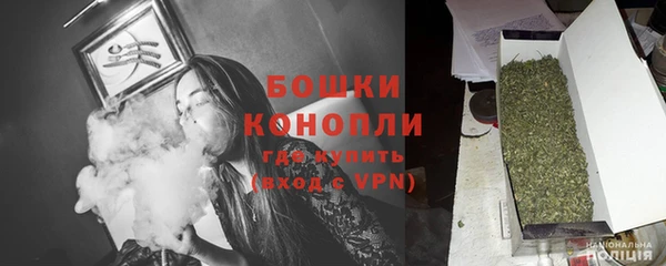 PSILOCYBIN Нязепетровск