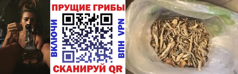 где купить наркоту  hydra маркетплейс  Галлюциногенные грибы ЛСД  Мичуринск 